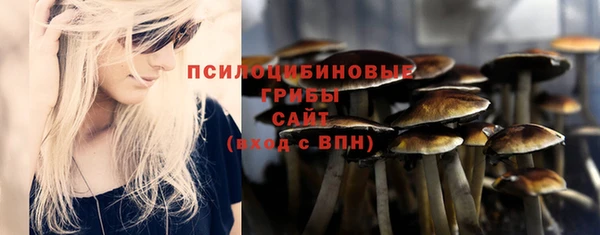 прущий лед Алзамай