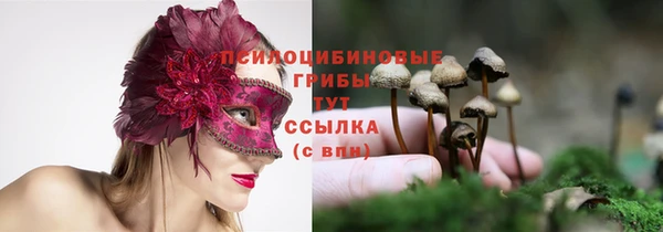 стафф Абаза