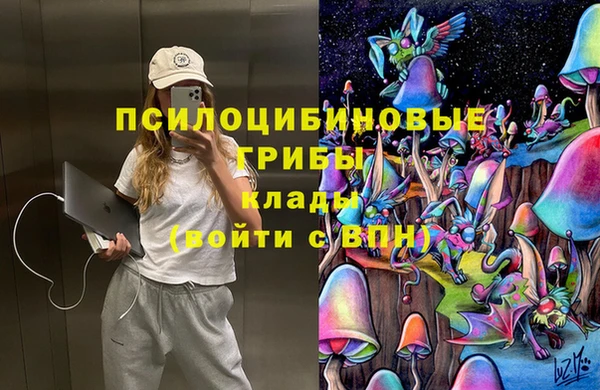 прущий лед Алзамай