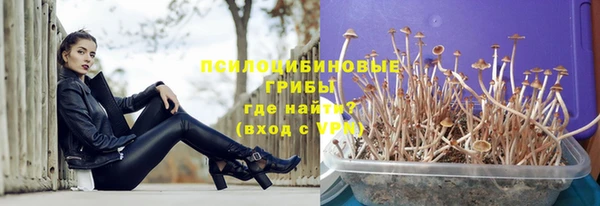 прущий лед Алзамай
