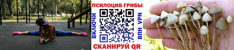 hydra ONION  Мещовск  Псилоцибиновые грибы ЛСД 